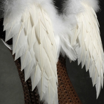 feather-wings-27-x-20-white-feathers-with-marabou-3_260