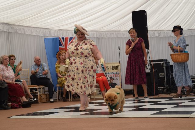 how chow, leicester vintage carnival, hell bunny dress, plus size blogger, vintage blogger, theodore, vintage style, vintage events, custom cars, classic car show, 