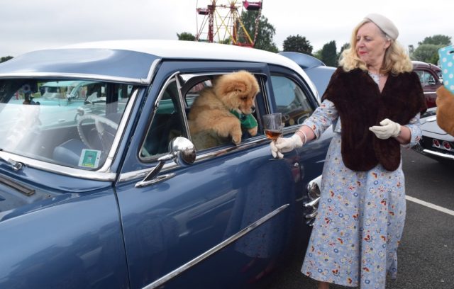 chow chow, leicester vintage carnival, hell bunny dress, plus size blogger, vintage blogger, theodore, vintage style, vintage events, custom cars, classic car show, 