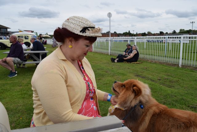 vintage style, vintage dress, vintage ladies, vintage hat, chow chow, theodore, theodorable, leicester vintage carnival, craig thorpe photography, barry pickering photography, leicester racecours, ajs diner, rock n roll, vintage cars, vintage pals, jg and the ultimates 