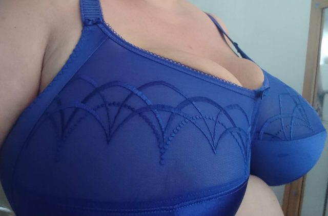 Elomi lingerie, elomie bras, elomi cate, elomi knickers, big cup bras, large cup bras, bras over a H cup, plus size lingerie, plus size underwear,plus size knickers, pretty full cup bras, full cup bras, big boob issues, big boob problems, large lingerie, 