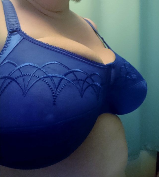 Elomi lingerie, elomie bras, elomi cate, elomi knickers, big cup bras, large cup bras, bras over a H cup, plus size lingerie, plus size underwear,plus size knickers, pretty full cup bras, full cup bras, big boob issues, big boob problems, large lingerie, 