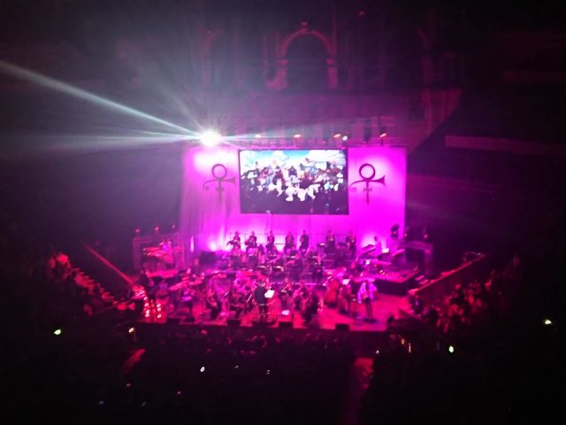 london, plussizetravel, plussizeadventures, royalalberthall, prince, symphonicperformance, coventgarden, thecoalhole, southkensington, 