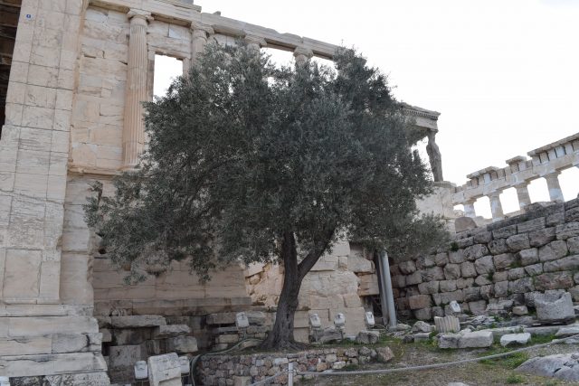 Athens, Acropolis, Greece, GreekOdyssey, GreekTrip, AncientGreece, AcropolisHill, AcropolisWalkingTour, PapaSteves, Sounion, TempleofPoseidon, TempleofSounion