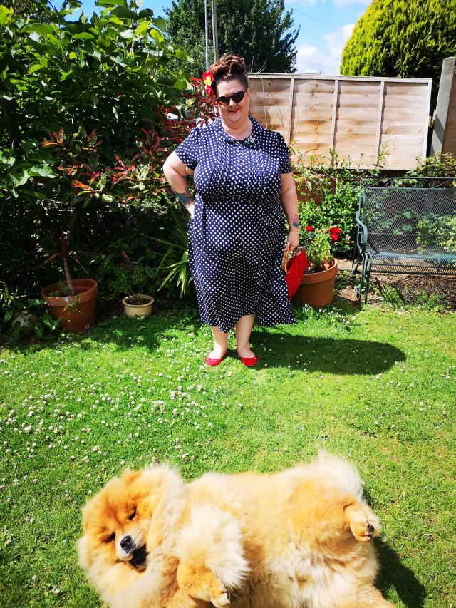 Theodore, Theodore the Chow Chow, Chow Chows of Instagram, Chow Chow Lovers, Theodorable, Baba, Photoshoots, Plus Size Blogger, Plus Size Writer, Plus Size Model, Plus Size Reviews, Plus Size Fashion, Plus Size Fatshion, Plus Size Fatshionista, Plus Size Clothing, Plus Size Photography