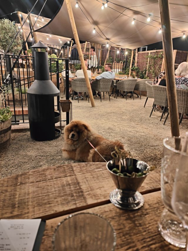 The Hare and Hounds, The Hare and Hounds Newbury, Hotel Stay, Coaching Inn, Travels with Theodore, Plus Size Adventures, Plus Size Travels, Short Break, Weekend Away, UK breaks, UK Weekend Breaks, Dog Friendly, Dog Hotel