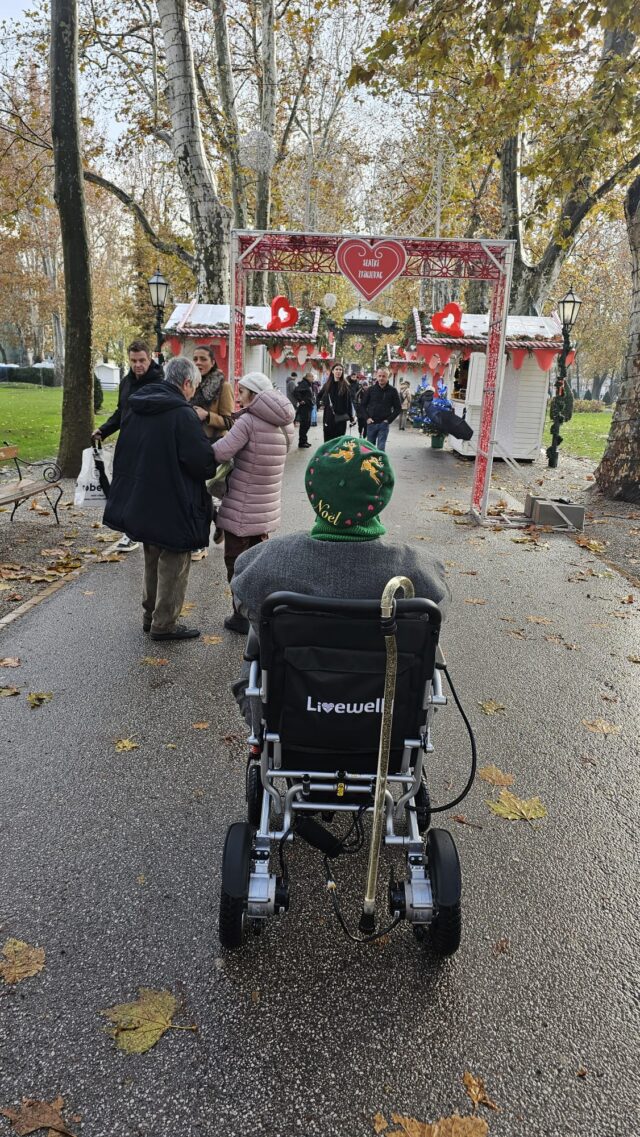 Wheelchair User, Walking Stick User, Mobility Issues, Disability, Knee Issues, Knee Replacement, Wheelchair Adventures, Neowalk, Neowalk sticks, Walking Canes, 